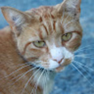 Meet your Posher, Mandy